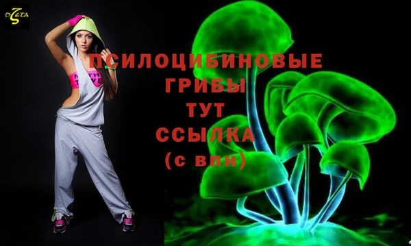 круглые Аркадак