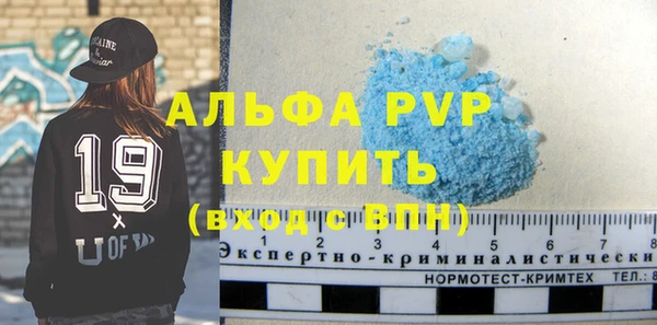ПСИЛОЦИБИНОВЫЕ ГРИБЫ Осташков