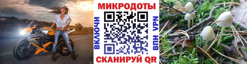 гидра зеркало  дарк нет официальный сайт  Псилоцибиновые грибы прущие грибы  Пересвет 