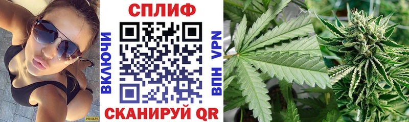 где найти наркотики  Пересвет  Канабис Ganja 